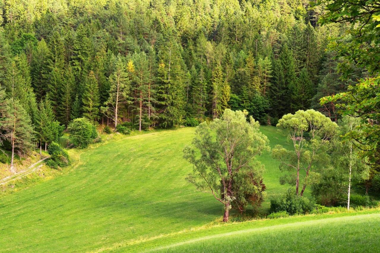 Landsitz Oberhof Petit Hotel Muggendorf (Lower Austria)