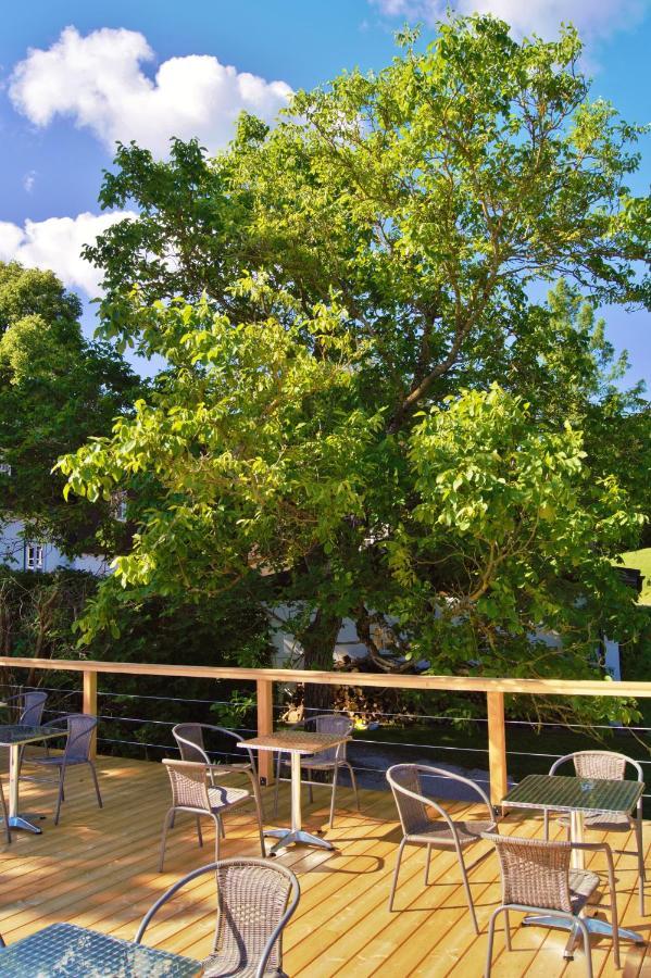 Landsitz Oberhof Petit Hotel Muggendorf (Lower Austria)